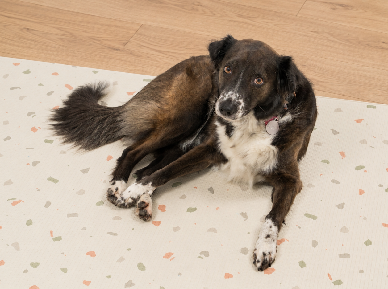Terrazzo & Konfetti
